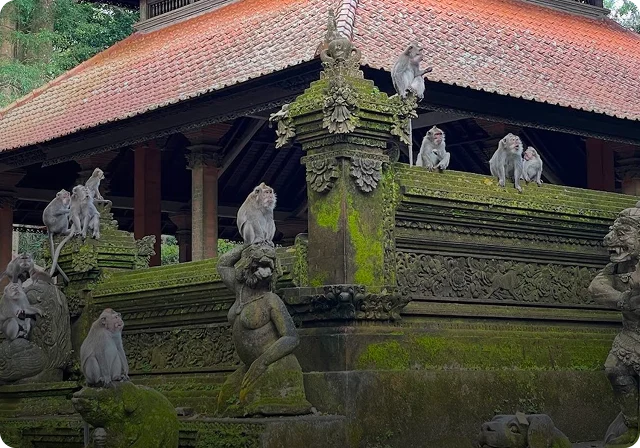 Monkey Forest